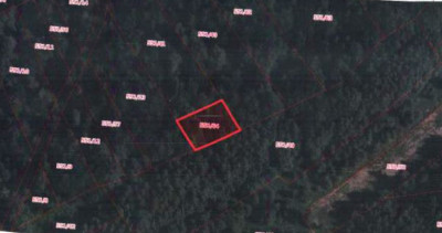 Udział 24  kompleks działek - Bieńkówka  -
małopolskie Zdjęcie nr 12