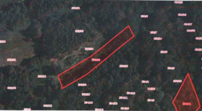 Udział 24  kompleks działek - Bieńkówka  -
małopolskie Zdjęcie nr 16