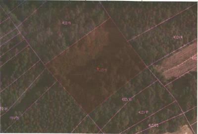 Udział 24  kompleks działek - Bieńkówka  -
małopolskie Zdjęcie nr 2