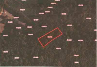 Udział 24  kompleks działek - Bieńkówka  -
małopolskie Zdjęcie nr 4