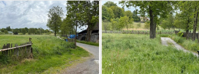 Sprzedaż działki rolnej - Staniątki  -
małopolskie Zdjęcie nr 3
