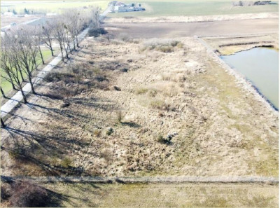 Syndyk sprzeda działkę pod inwestycje - Duszniki  - wielkopolskie