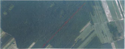 Syndyk sprzeda działki - Stryjów  -
lubelskie Zdjęcie nr 5