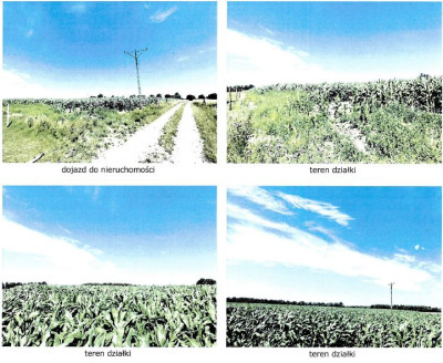 Syndyk sprzeda udział w działce rolnej - Stary Przybysław  -
zachodniopomorskie Zdjęcie nr 2