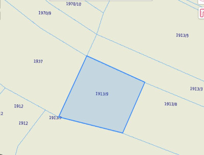 Syndyk sprzeda działkę rolną  za najwyższą zaoferowaną cenę - Rokietnica  -
podkarpackie Zdjęcie nr 4