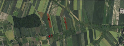 Syndyk sprzeda kompleks działek rolne las łąka - Dołhobyczów  -
lubelskie Zdjęcie nr 2