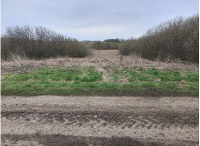 Syndyk sprzeda kompleks działek rolne las łąka - Dołhobyczów  -
lubelskie Zdjęcie nr 4