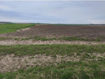 Syndyk sprzeda kompleks działek rolne las łąka - Dołhobyczów  -
lubelskie Zdjęcie nr 5