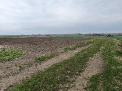 Syndyk sprzeda kompleks działek rolne las łąka - Dołhobyczów  -
lubelskie Zdjęcie nr 6