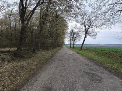 Syndyk sprzeda kompleks działek rolne las łąka - Dołhobyczów  -
lubelskie Zdjęcie nr 7