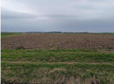 Syndyk sprzeda działkę rolną - Oszczów  -
lubelskie Zdjęcie nr 3