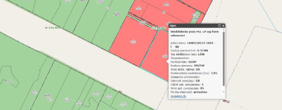 Syndyk sprzeda udział 12 w działce leśnej - Witków  - lubelskie