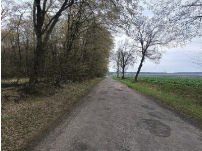 Syndyk sprzeda udział 12 w działce leśnej - Witków  -
lubelskie Zdjęcie nr 3