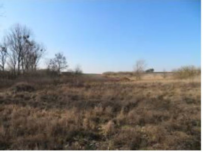 Syndyk sprzeda działkę pod inwestycje - Duszniki  -
wielkopolskie Zdjęcie nr 7