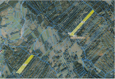 Syndyk sprzeda 12 udziału w kompleksie działek leśnych - Pewel Wielka  - śląskie