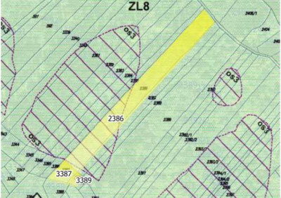 Syndyk sprzeda 12 udziału w kompleksie działek leśnych - Pewel Wielka  -
śląskie Zdjęcie nr 4