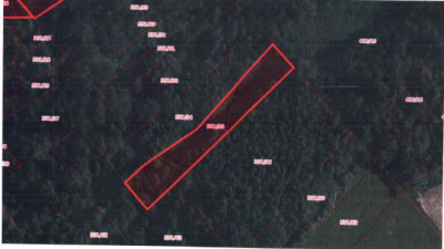 Udział 24  kompleks działek - Bieńkówka  -
małopolskie Zdjęcie nr 11