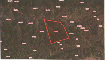 Udział 24  kompleks działek - Bieńkówka  -
małopolskie Zdjęcie nr 3