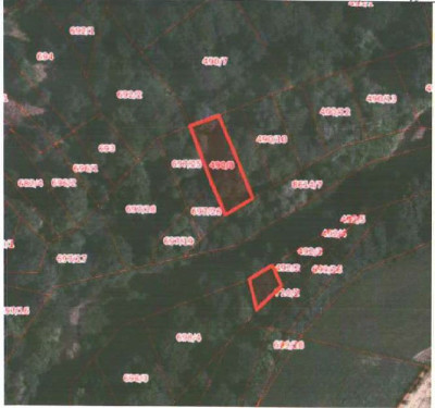 Udział 24  kompleks działek - Bieńkówka  -
małopolskie Zdjęcie nr 7