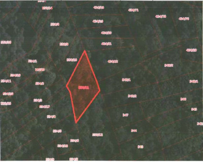 Udział 24  kompleks działek - Bieńkówka  -
małopolskie Zdjęcie nr 8