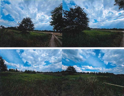 Syndyk sprzeda działki łąki i grunty orne - Wykowo  -
mazowieckie Zdjęcie nr 3