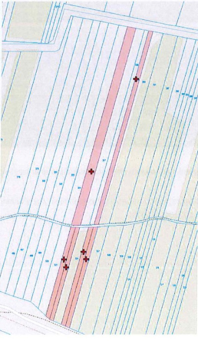 Syndyk sprzeda działki łąki i grunty orne - Wykowo  -
mazowieckie Zdjęcie nr 4