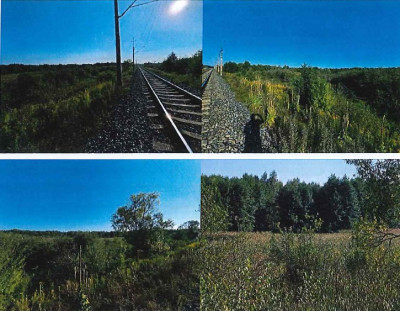 Syndyk sprzeda działkę - Emilianów  -
mazowieckie Zdjęcie nr 3