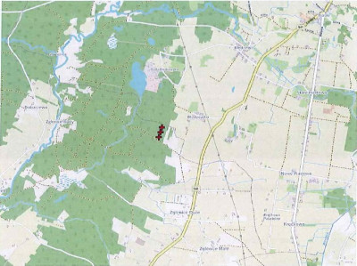 Syndyk sprzeda działki grunty orne - Żółtowo  - mazowieckie