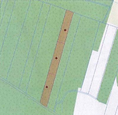 Syndyk sprzeda działki grunty orne - Żółtowo  -
mazowieckie Zdjęcie nr 2