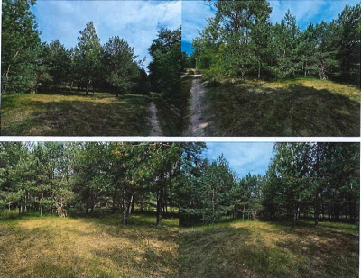 Syndyk sprzeda działki grunty orne - Żółtowo  -
mazowieckie Zdjęcie nr 3