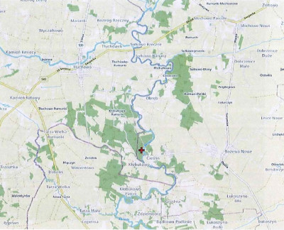 Syndyk sprzeda działkę leśną - Cieślin  - mazowieckie