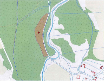 Syndyk sprzeda działkę leśną - Cieślin  -
mazowieckie Zdjęcie nr 2