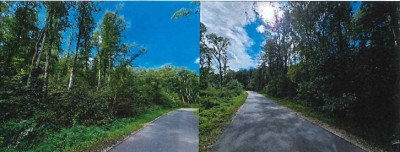 Syndyk sprzeda działkę leśną - Cieślin  -
mazowieckie Zdjęcie nr 3