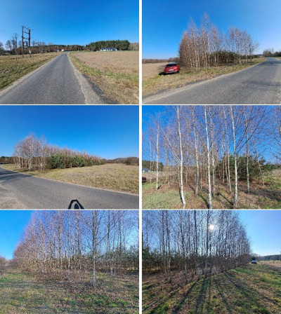 Syndyk sprzeda kompleks niezabudowanych działek - Mursk  -
kujawsko-pomorskie Zdjęcie nr 9