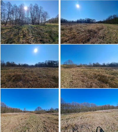 Syndyk sprzeda kompleks niezabudowanych działek - Mursk  -
kujawsko-pomorskie Zdjęcie nr 13