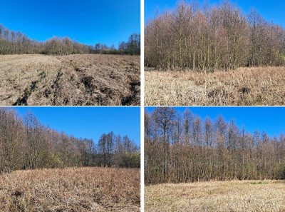 Syndyk sprzeda kompleks niezabudowanych działek - Mursk  -
kujawsko-pomorskie Zdjęcie nr 3