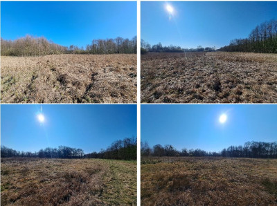 Syndyk sprzeda kompleks niezabudowanych działek - Mursk  -
kujawsko-pomorskie Zdjęcie nr 4