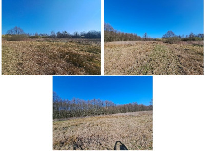 Syndyk sprzeda kompleks niezabudowanych działek - Mursk  -
kujawsko-pomorskie Zdjęcie nr 5