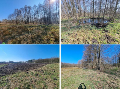 Syndyk sprzeda kompleks niezabudowanych działek - Mursk  -
kujawsko-pomorskie Zdjęcie nr 7