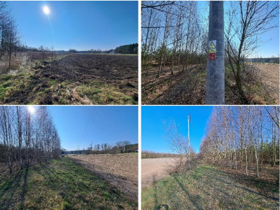 Syndyk sprzeda kompleks niezabudowanych działek - Mursk  -
kujawsko-pomorskie Zdjęcie nr 8