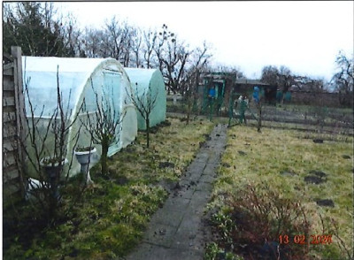 Działka w ROD z nasadzeniami i budynkiem ogrodowym - Grodzisk Wielkopolski  -
wielkopolskie Zdjęcie nr 11