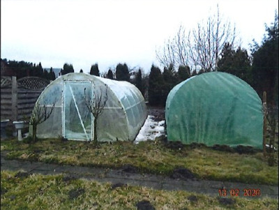 Działka w ROD z nasadzeniami i budynkiem ogrodowym - Grodzisk Wielkopolski  -
wielkopolskie Zdjęcie nr 12