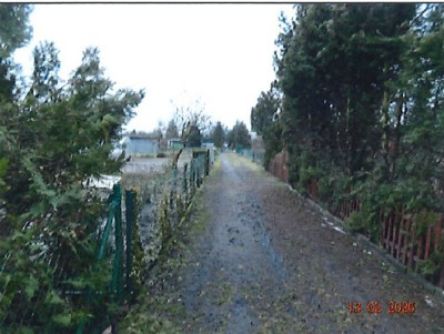 Działka w ROD z nasadzeniami i budynkiem ogrodowym - Grodzisk Wielkopolski  -
wielkopolskie Zdjęcie nr 3