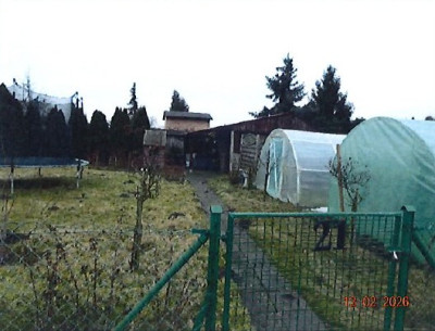 Działka w ROD z nasadzeniami i budynkiem ogrodowym - Grodzisk Wielkopolski  -
wielkopolskie Zdjęcie nr 8