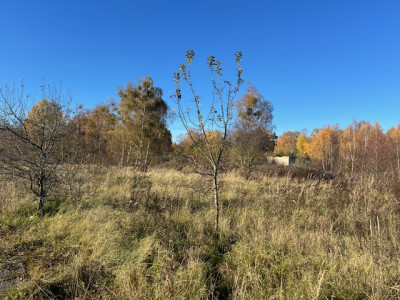 Syndyk sprzeda udział 12 w kompleksie działek przemysłowych - Chojna  -
zachodniopomorskie Zdjęcie nr 9