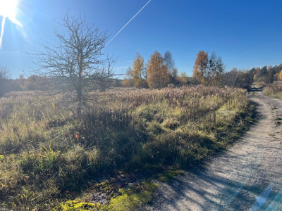 Syndyk sprzeda udział 12 w kompleksie działek przemysłowych - Chojna  -
zachodniopomorskie Zdjęcie nr 10
