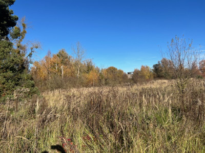 Syndyk sprzeda udział 12 w kompleksie działek przemysłowych - Chojna  -
zachodniopomorskie Zdjęcie nr 6