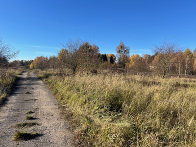 Syndyk sprzeda udział 12 w kompleksie działek przemysłowych - Chojna  -
zachodniopomorskie Zdjęcie nr 7