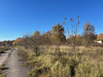 Syndyk sprzeda udział 12 w kompleksie działek przemysłowych - Chojna  -
zachodniopomorskie Zdjęcie nr 8