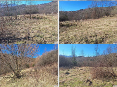 Syndyk sprzeda 12 udziału w kompleksie działek - Pewel Wielka  -
śląskie Zdjęcie nr 10